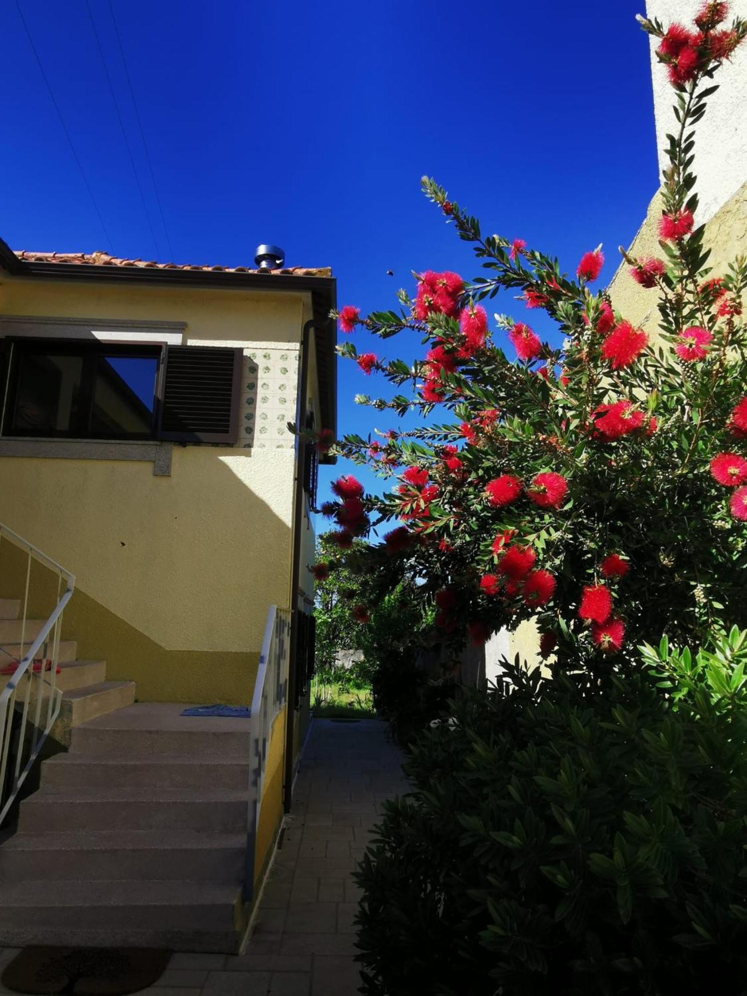 Casa Sao Pedro Belinho Only Pilgrims Bed & Breakfast Exterior photo
